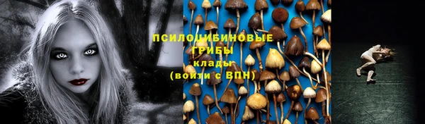 индика Армянск