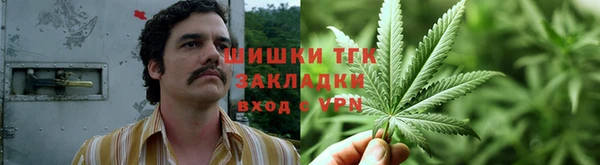индика Армянск