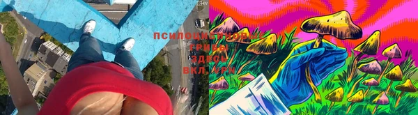 гашиш Арсеньев