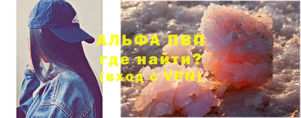 индика Армянск
